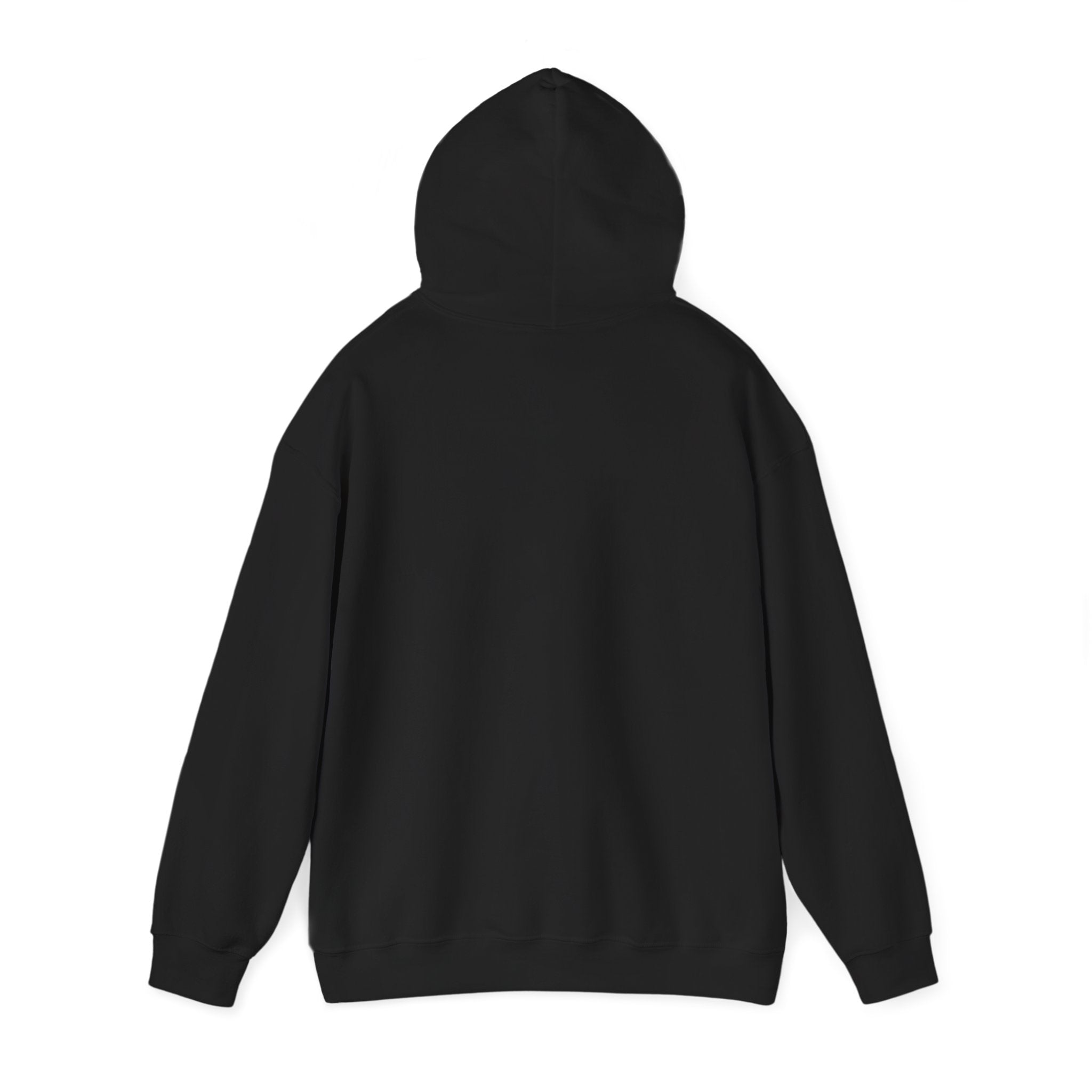 My Sister And I Talk Shit About You Hoodie