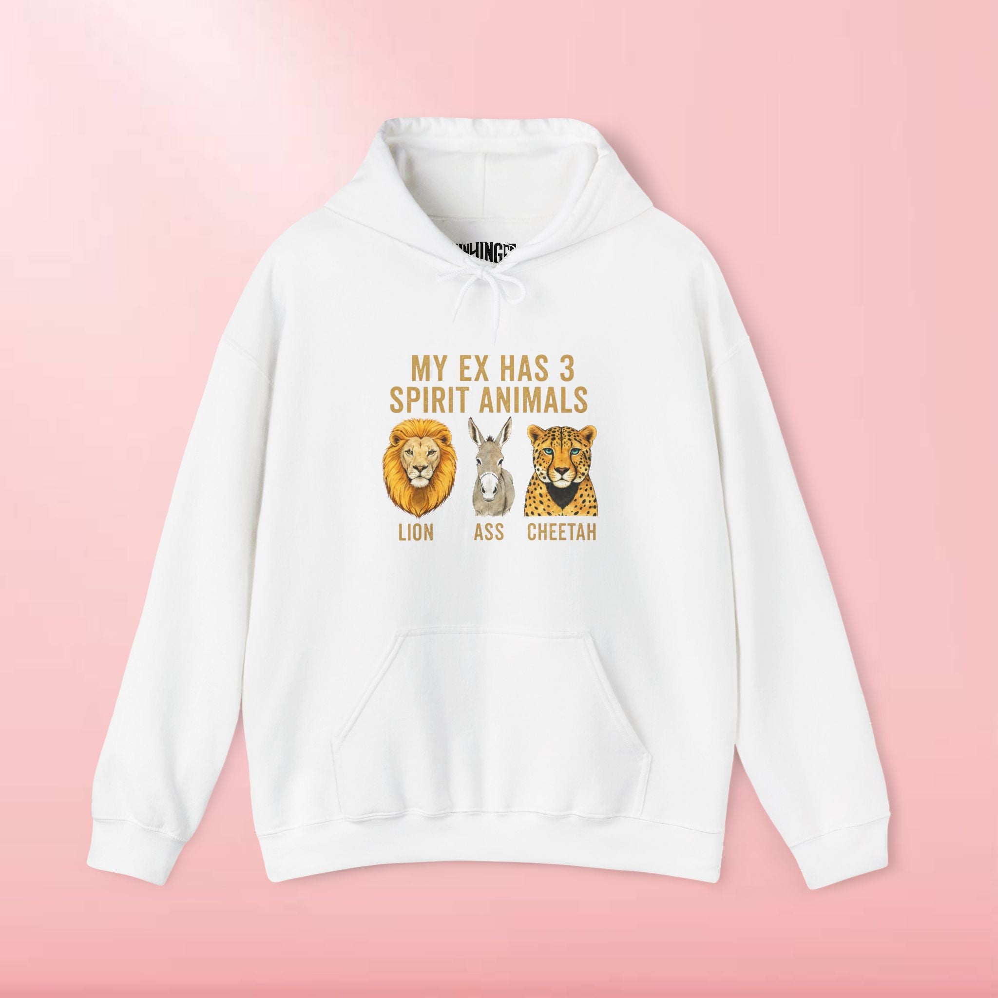 My Ex Has 3 Spirit Animals Hoodie