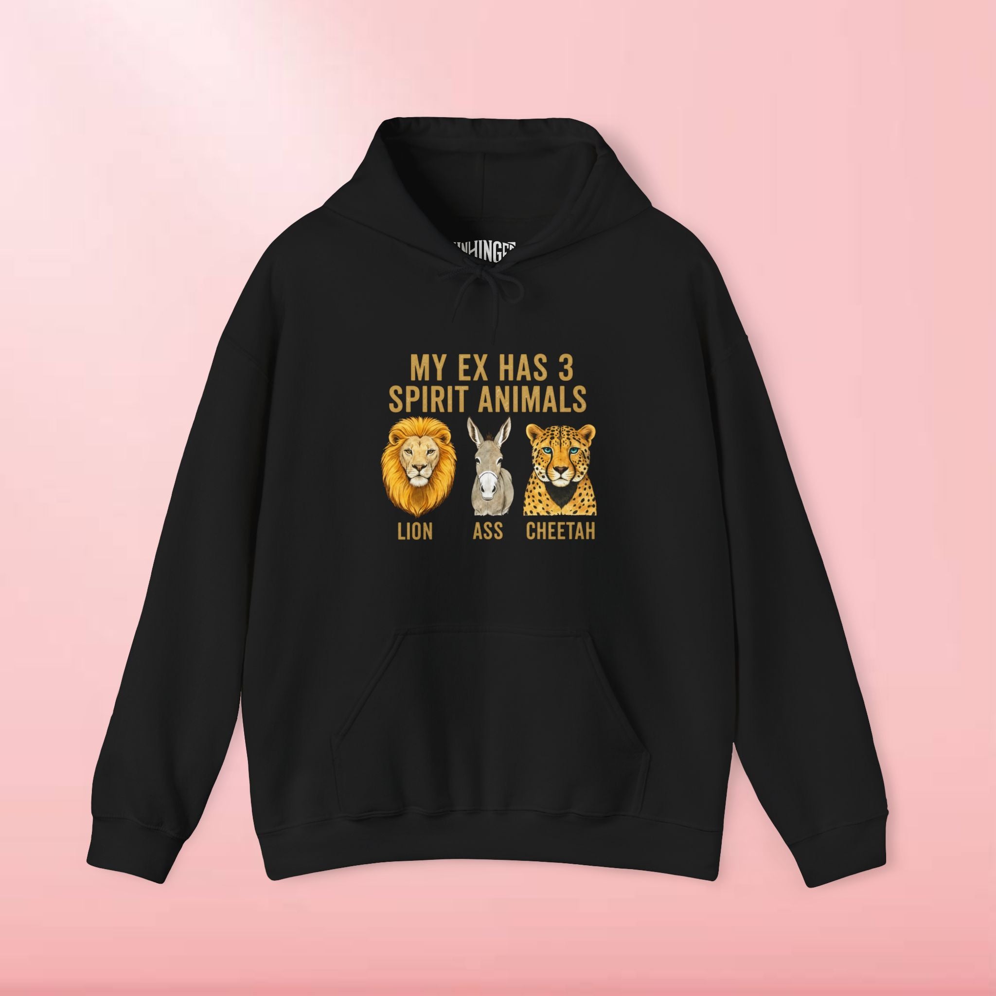 My Ex Has 3 Spirit Animals Hoodie