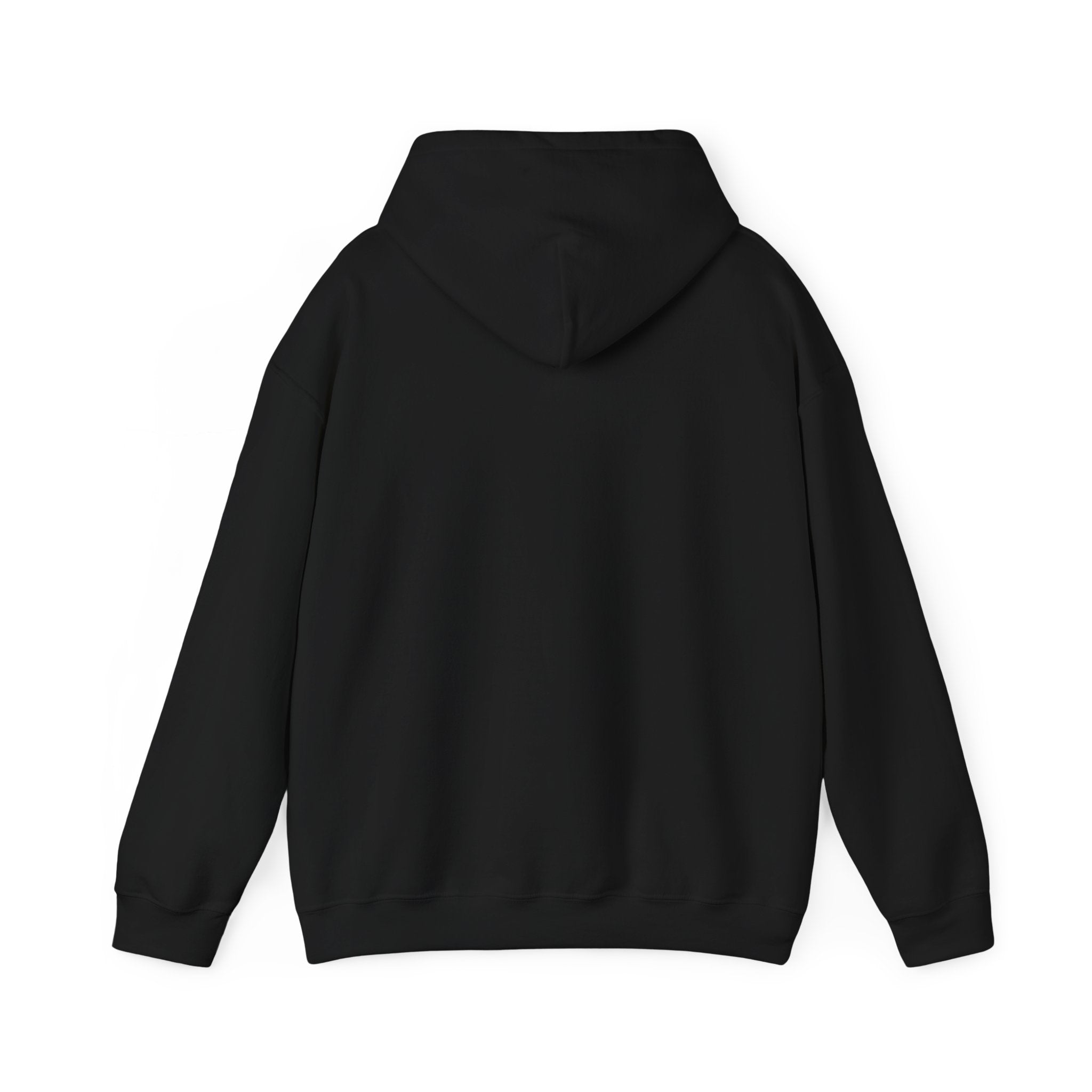 My Sister And I Talk Shit About You Hoodie