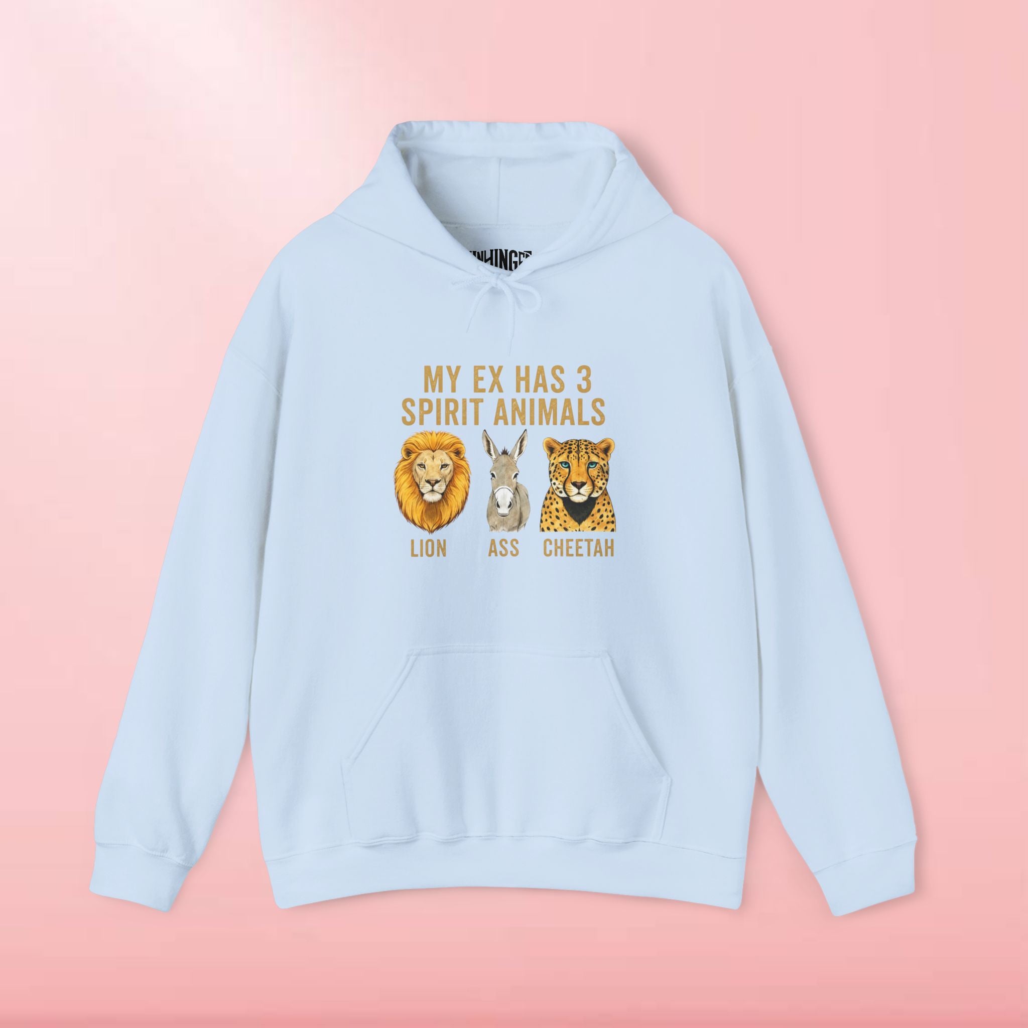 My Ex Has 3 Spirit Animals Hoodie