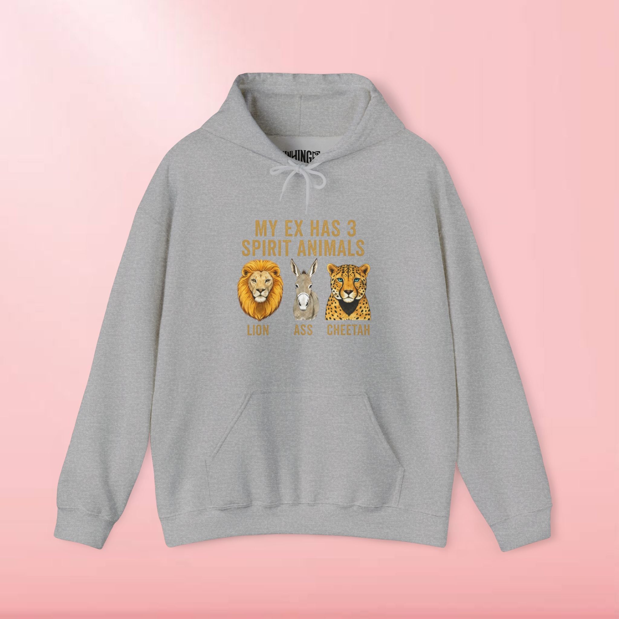 My Ex Has 3 Spirit Animals Hoodie