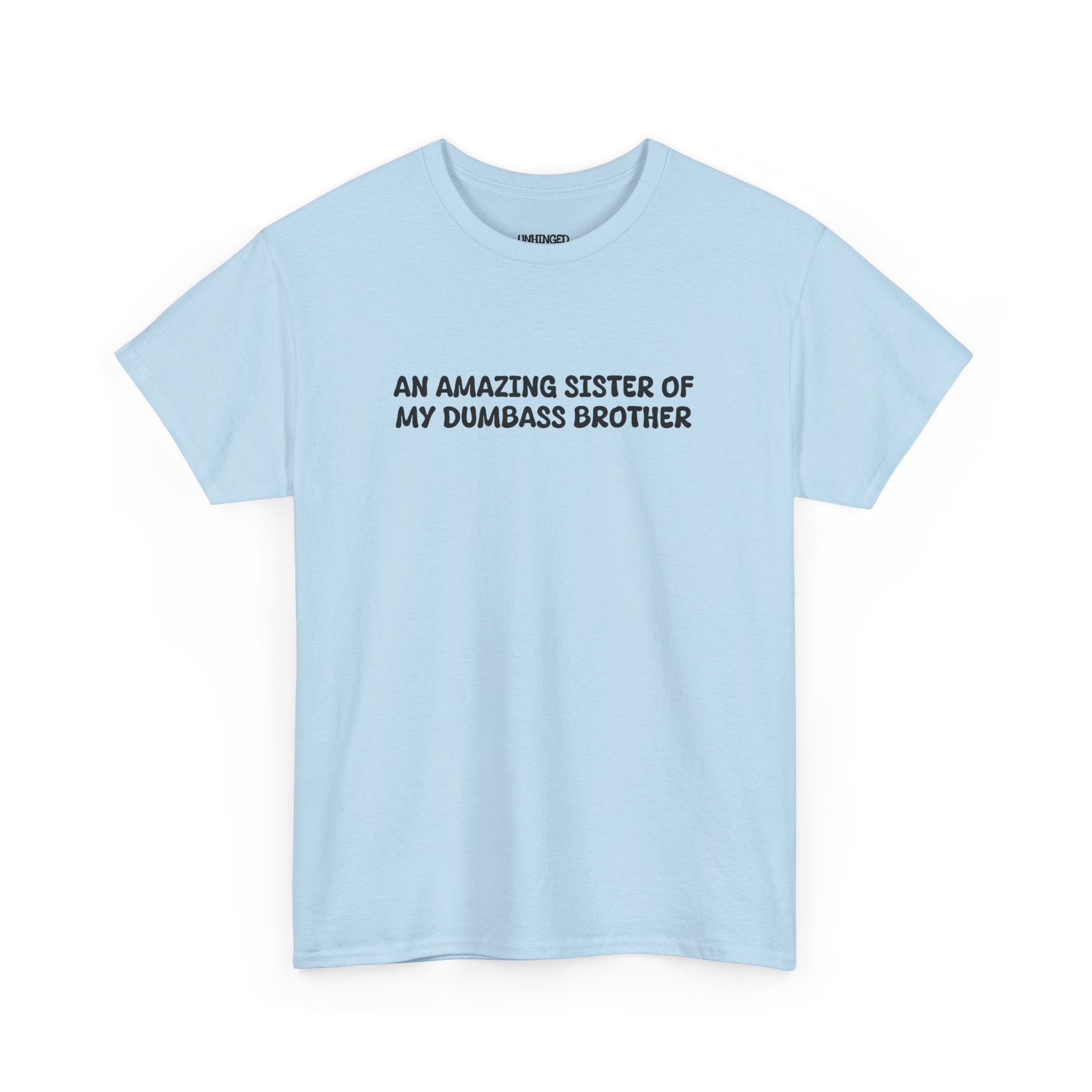 An Amazing Sister Of My Dumbass Brother  T-shirt