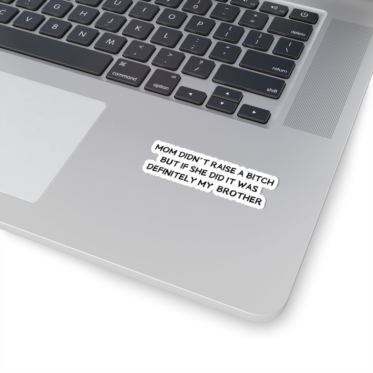 Mom didn't raise a bitch (Brother) Sticker