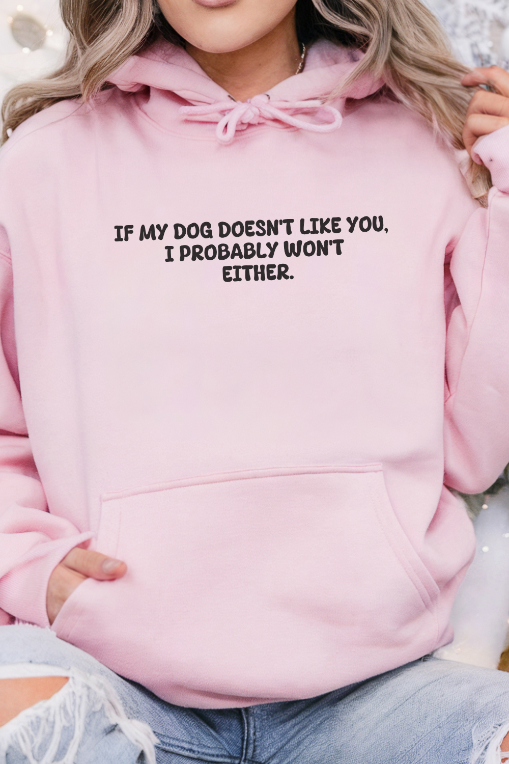 If My Dog Doesn't Like You I Probably Won't Either Hoodie